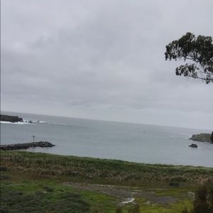 Meet your Posher, Dee